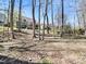 View of a backyard surrounded by trees with a home in the distance and playground equipment at 904 Hidden Jewel Ln, Wake Forest, NC 27587