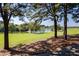 Picturesque lake view framed by mature trees on a lush golf course at 904 Hidden Jewel Ln, Wake Forest, NC 27587