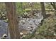 Scenic view of a flowing creek surrounded by trees, offering a peaceful natural landscape at 29 Mocking Ln, Rocky Mount, NC 27804