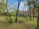 Expansive backyard with mature trees, green grass, and a screened-in porch on the two-story home at 3416 Cottonwood Dr, Durham, NC 27707