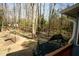 Backyard view with trampoline, hammock, and mature trees for outdoor activities and relaxation at 410 N Currie Dr, Sanford, NC 27330