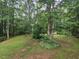 The wooded backyard is a peaceful oasis and provides privacy at 4116 Tall Pine Dr, Franklinton, NC 27525
