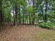 Wooded backyard offering privacy and a natural setting, ideal for relaxation and enjoying the outdoors at 4116 Tall Pine Dr, Franklinton, NC 27525