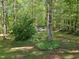 Backyard shed is tucked amongst the trees, surrounded by mature plantings and lush landscaping at 4116 Tall Pine Dr, Franklinton, NC 27525