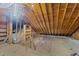 Spacious unfinished attic ready for storage or easy conversion to living space at 5122 Berkeley St, Raleigh, NC 27612