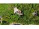 The house and long driveway are surrounded by dense trees, offering privacy and seclusion from nearby streets at 63 Tally Ho Dr, Selma, NC 27576