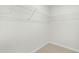 Walk-in closet with wire shelving, neutral walls, and plush carpeting at 653 Corvair Ln, Wendell, NC 27591
