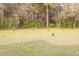 Lush backyard with mature trees and a serene natural setting at 151 Goose Creek Cir, Dunn, NC 28334