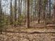 Natural backyard area with abundant trees and foliage, ideal for privacy and nature enthusiasts at 2217 Magnolia Tree Ln, Durham, NC 27703