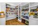 Well-organized pantry with ample shelving provides plenty of storage space at 2223 Winston Cir, Apex, NC 27502