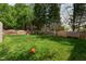 Spacious grassy backyard enclosed by a wooden fence, perfect for outdoor activities at 200 Adefield Ln, Holly Springs, NC 27540