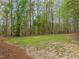 Expansive backyard featuring a mix of grass and pine needles in a wooded setting at 2032 Stoneglen Ln, Raleigh, NC 27603