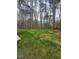 A spacious backyard with lush green grass surrounded by mature trees at 5710 Russell Rd, Durham, NC 27712