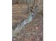Small stream through the trees with leaves in and around the water at 604 Orange Factory Road, Bahama, NC 27503