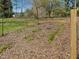 A garden plot is already started and features established starter plants at 774 Cornelius St, Hillsborough, NC 27278