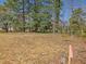 Spacious lot is partially cleared and ready for you to make it your own at 774 Cornelius St, Hillsborough, NC 27278