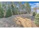Lush backyard bordered by mature evergreens and a wood fence, offering privacy and natural beauty at 1038 Branwell Dr, Durham, NC 27703