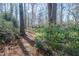 Scenic wooded path lined with mature trees and greenery for a nature-filled stroll at 1229 Westerham Dr, Wake Forest, NC 27587