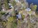 Scenic aerial shot showcasing homes near a body of water surrounded by trees and landscaping at 155 Chimney Rise Dr, Cary, NC 27511