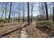 Charming backyard path leading to the lakefront, lined with mature trees and natural landscaping at 155 Chimney Rise Dr, Cary, NC 27511