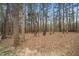 Lush backyard with tall trees providing ample shade and privacy at 1638 Crystal Ln, Stem, NC 27581