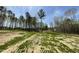 Large backyard featuring green space and trees, providing privacy and room for outdoor activities at 279 Constellation Ct, Benson, NC 27504