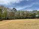 Large, undeveloped backyard with lush trees and an open field at 308 Busterfield Ct, Benson, NC 27504