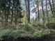 Scenic view of a lush, wooded area, perfect for nature lovers at 4423 Sugarbend Way, Raleigh, NC 27606