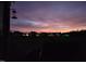 Backyard twilight view of neighboring homes under a colorful sunset sky at 676 Wall Rd, Wendell, NC 27591