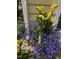 Yellow and blue potted flowers located near the home at 8508 Kayenta Ct, Wake Forest, NC 27587