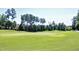 Lush green golf course with trees in the background at 11129 Bayberry Hills Dr, Raleigh, NC 27617