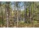 Backyard featuring tall trees and a view of the lake beyond the lush greenery at 124 Ripley Ct, Cary, NC 27513