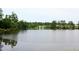 Scenic pond view surrounded by lush trees reflecting the blue sky and surrounding greenery at 2133 Persimmon Ridge Dr, Raleigh, NC 27604