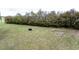 A well-manicured backyard featuring a verdant lawn and garden beds at 236 Summer Place Ct, Clayton, NC 27527