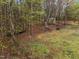 Backyard featuring mature trees, a shed, and a peaceful outdoor space for relaxation at 2825 Alder Ridge Ln, Raleigh, NC 27603
