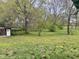 Lush backyard with mature trees, perfect for outdoor activities and enjoying nature at 540 S Cheatham St, Franklinton, NC 27525