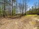 Image of backyard lot, surrounded by mature trees and ground cover with an unlevel lot at 55 J B Rd, Louisburg, NC 27549