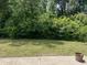 Lush green backyard with trees at 6021 Watsonia Dr, Zebulon, NC 27597