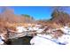 Picturesque creek bed in winter with snow along the bank at 6509A Fowler Rd, Zebulon, NC 27597