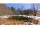 A partially frozen pond surrounded by snow-dusted brush and bare trees under a clear sky at 6509A Fowler Rd, Zebulon, NC 27597