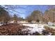 A snow-dusted wetland area displays a mix of brown leaves, small puddles, and dense shrubbery at 6509A Fowler Rd, Zebulon, NC 27597