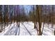 A snow-dusted wooded area presents a mix of bare and evergreen trees under a bright, sunny sky at 6509A Fowler Rd, Zebulon, NC 27597