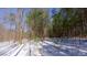 Venture into this snow-dusted wooded area, showcasing tall trees and the serene beauty of nature at 6509A Fowler Rd, Zebulon, NC 27597