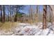 Discover this serene, snow-dusted wooded area, perfect for nature lovers, with tall trees and natural light at 6509A Fowler Rd, Zebulon, NC 27597