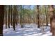 Immerse yourself in this snow-dusted wooded area, featuring mature trees and the tranquil beauty of the forest at 6509A Fowler Rd, Zebulon, NC 27597