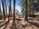 Secluded back yard featuring a cozy hammock amidst mature trees and verdant foliage at 7301 Turtleneck Ct, Raleigh, NC 27616