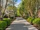 Long driveway leading to a beautiful home, lined with lush trees and manicured hedges providing privacy and curb appeal at 73214 Burrington, Chapel Hill, NC 27517