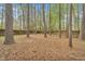 View of backyard with tall trees and wooden fence at 1010 Flanders St, Garner, NC 27529