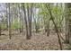 Wooded backyard with mature trees provides a natural and serene backdrop at 103 Morningside Dr, Carrboro, NC 27510