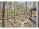 Picturesque backyard with mature trees creating a peaceful, wooded setting at 103 Morningside Dr, Carrboro, NC 27510